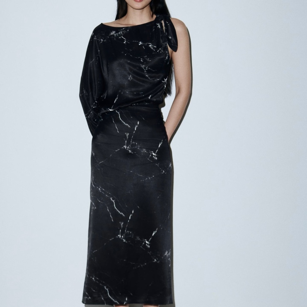 Zara Printed MIDI Skirt